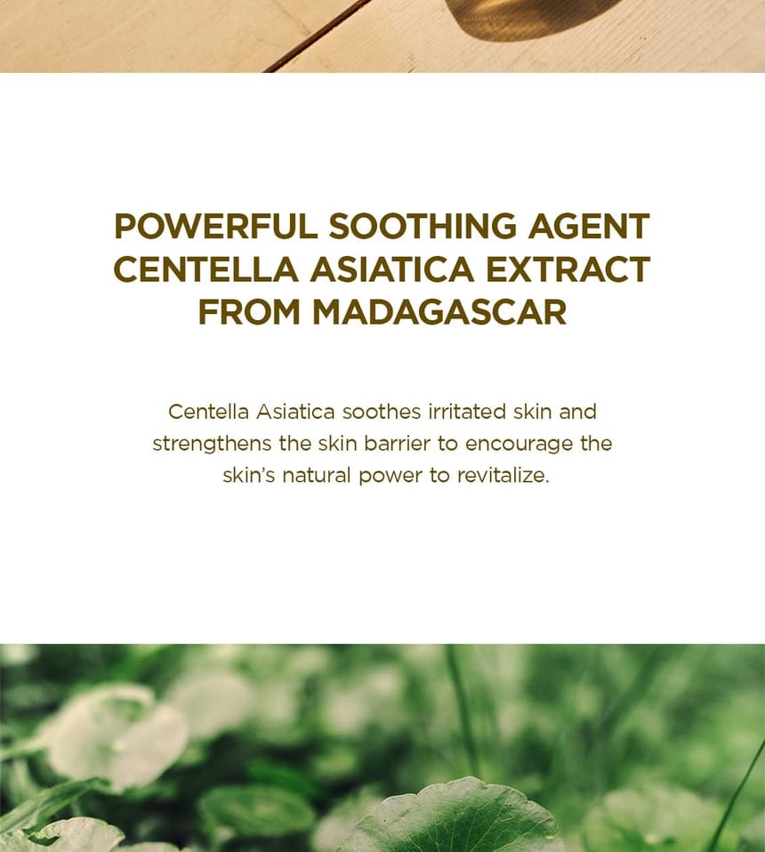 SKIN1004 - Madagascar Centella Soothing Cream - 75ml